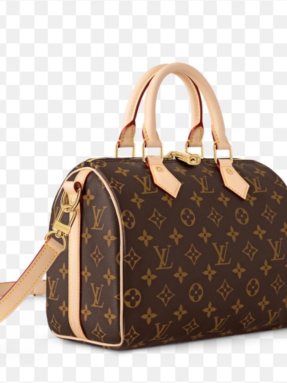Louis Vuitton Brown Monogram Canvas Satchel with Natural Leather Trim